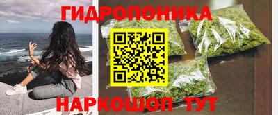 ECSTASY Будённовск