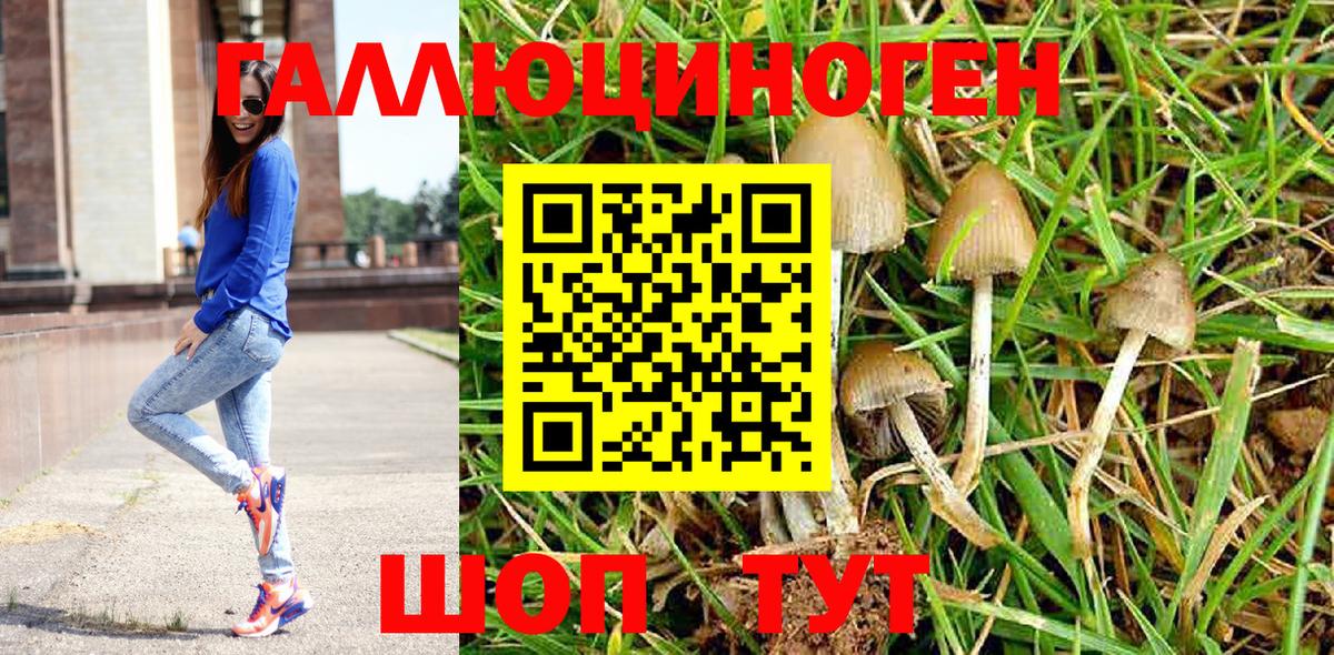 Галлюциногенные грибы Magic Shrooms Артёмовский