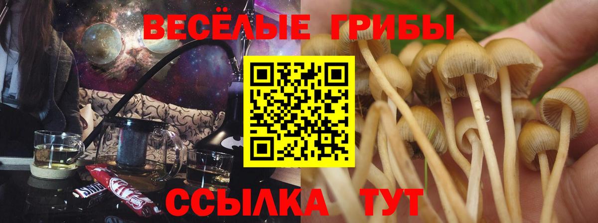 Артёмовский  Галлюциногенные грибы Magic Shrooms  сколько стоит  Вход с VPN 